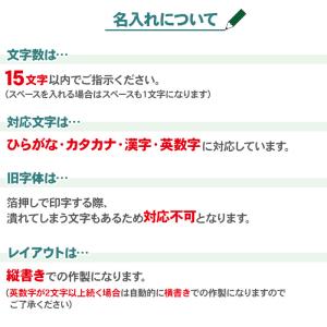 箔押し 名入れ 金 トンボ鉛筆 色鉛筆12色 ...の詳細画像5