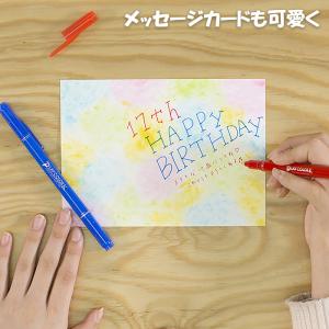 トンボ鉛筆 プレイカラーK 12色セット GC...の詳細画像2