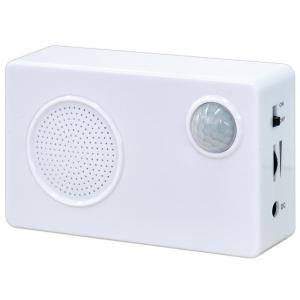 音声POP（内蔵メモリー付）　本体:H60×W100×D29mm　単三電池3本付【1台入】