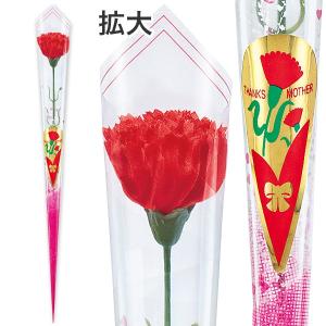 カーネーションかすみイラストラップ（中）　約41cm(ラップ込)　布・PE・OPP【1本入】
