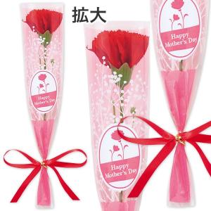 カーネーションかすみリボンラップ（小）　20.5cm（ラップ込）　布・PE・OPP【1本入】
