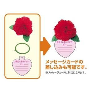 カーネーションボトルリングの詳細画像3
