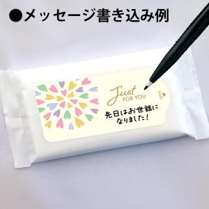 【納期一週間以上】ウェットティッシュ スリムホ...の詳細画像2