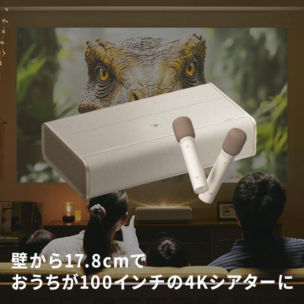 Aladdin Marca MAX アラジン マルカ マイク2 セット プロジェクター 家庭用 Ha...