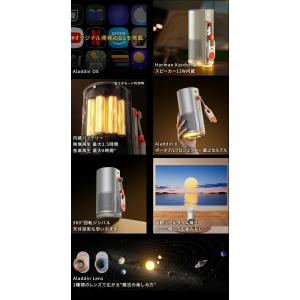 期間限定16,910円OFF Aladdin ...の詳細画像3