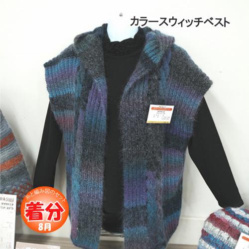 カラースウィッチベスト 編み物キット