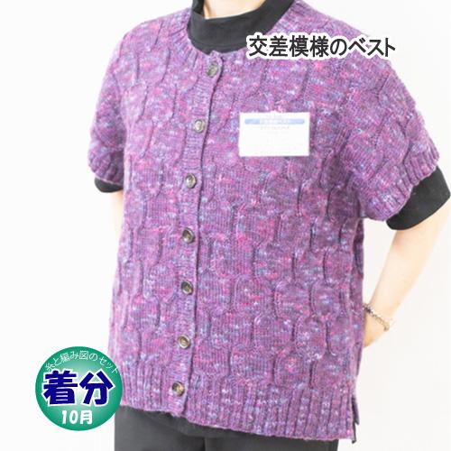 交差模様ベスト 編み物キット