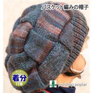 野呂英作 毛糸 野呂英作のくれよんで編むつば付き帽子 セット かぎ針