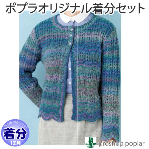 透かし模様のグラデーションカーディガン 編み物キット 毛糸のポプラ