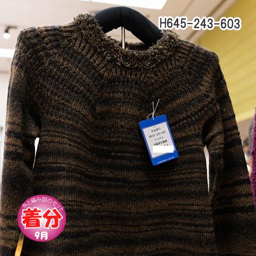 H645-240-603 編み物キット