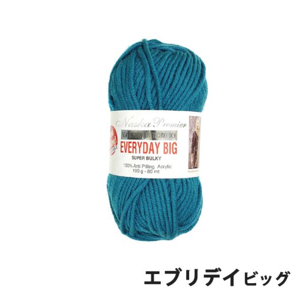 毛糸 極太 内藤商事 N-69 エブリデイビッグ 1玉 アクリル 毛糸のポプラ