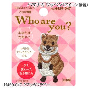 クワッカーワラビーの商品一覧 通販 Yahoo ショッピング