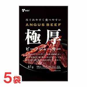ヤガイ 極厚ビーフジャーキー45g×5袋