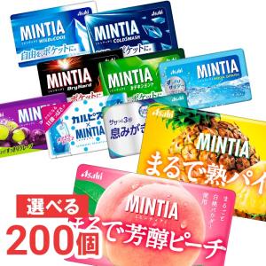 アサヒ（asahi） アサヒグループ食品 ミンティア ワイルド&クール 50粒