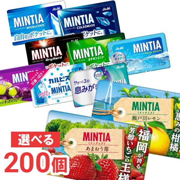 アサヒ　ミンティア　50粒(MINTIA)　20個単位で選んで合計200個セット　大量　まとめ買いで...