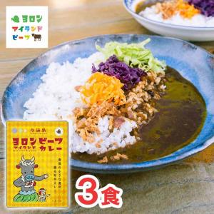 【鹿児島県与論島】 ヨロンアイランドビーフカレー 120g×3袋 特産品 カレー レトルト 黒毛和牛 ご当地カレー お試し セットの商品画像