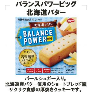 ハマダコンフェクト バランスパワービッグ 8個...の詳細画像1