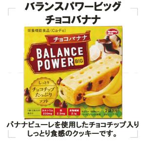 ハマダコンフェクト バランスパワービッグ 8個...の詳細画像4