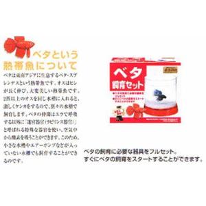 ベタ飼育セットの商品一覧 通販 Yahoo ショッピング