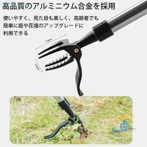 草取り 立ったまま 草抜き 手動 道具 除草 ...の詳細画像5