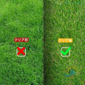 手動草刈り機 ガーデニング 草刈り機 雑草削る...の詳細画像5