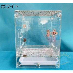 アクリル鳥かご家庭 用観賞小型養殖かご おしゃ...の詳細画像1