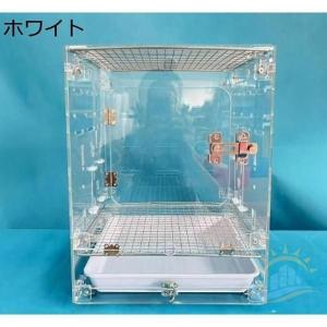 アクリル鳥かご家庭 用観賞小型養殖かご おしゃ...の詳細画像3