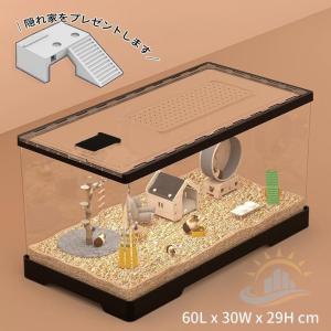 ハムスターケージ 小動物用透明アクリル 製通気...の詳細画像3