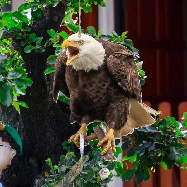 鳥よけ　鳩よけ　カラスよけ　防鳥反射板　駆鳥反射板　鳥怖がらせ装置　偽フクロウ　ゾンチー　鳶　驚異な...