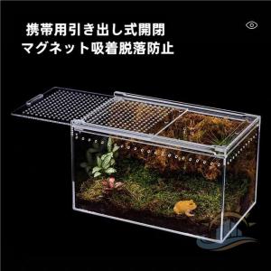 アクリル　爬虫類　Ｍサイズ　飼育ケース　クモ　ヤモリ　カメ　飼育ケージ　飼育容器　ゾンチー　昆虫飼育ケース　サソリ　ヘビ　クワガタ　透明　日常使いに