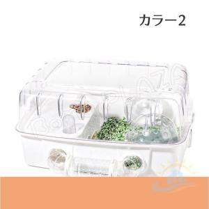 ハムスターケージ ハムスターハウス セット お...の詳細画像2
