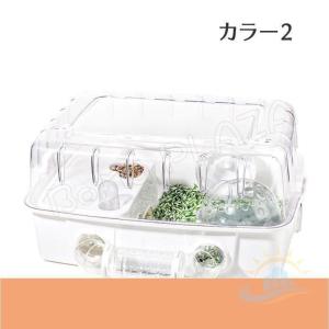 ハムスターケージ ハムスターハウス セット お...の詳細画像5
