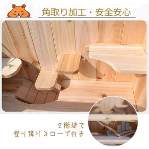 小動物 飼育 60 ケージ ハムスター ハリネ...の詳細画像2