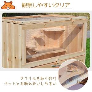 小動物 飼育 60 ケージ ハムスター ハリネ...の詳細画像3