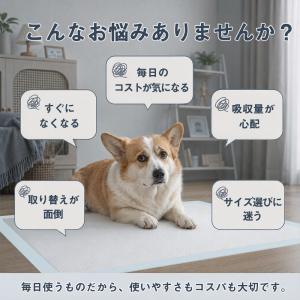 ペットシーツ レギュラー 800枚 薄型 ペッ...の詳細画像1