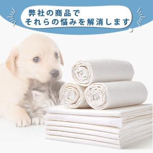 ペットシーツ レギュラー 800枚 薄型 ペッ...の詳細画像2