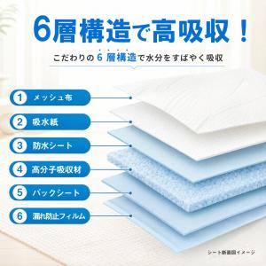 ペットシーツ レギュラー 800枚 薄型 ペッ...の詳細画像2
