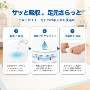 ペットシーツ レギュラー 800枚 薄型 ペッ...の詳細画像4