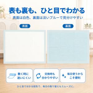 ペットシーツ レギュラー 800枚 薄型 ペッ...の詳細画像5