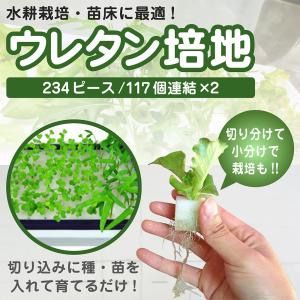 水耕栽培　スポンジ　ウレタン培地　234ピース