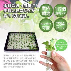 水耕栽培 スポンジ ウレタン培地 234ピースの詳細画像1