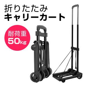 キャリーカート 折りたたみ 軽量 アウトドア　ショッピング