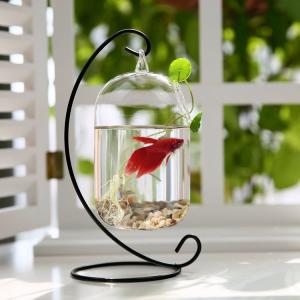 金魚鉢 丸型 スクエア 金魚鉢 ガラス 透明 テーブル