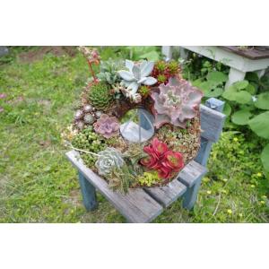 ハンドメイド　記念日・開店祝い　スタンド・メッセージカード付き　多肉植物のギフトリースL