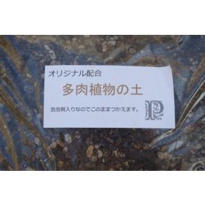 多肉植物の土 オリジナル配合 2l 寄せ植え ...の詳細画像2