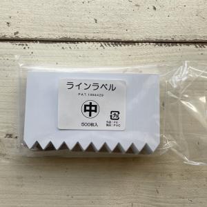 園芸用ラベル 多肉植物ラベル ラインラベル小 ベージュ500枚