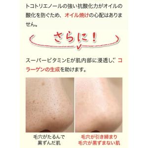 フルティア 4点セット ザセラム(3ml) 保...の詳細画像3