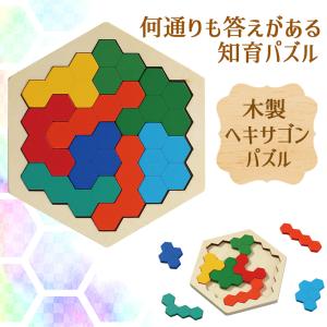 知育玩具 木製パズル ヘキサゴン パズル 全９ピース (対象年齢 ３歳以上)  知育パズル 大きい ピース 安全 幼児 子供 幼児施設 木製玩具 パズル パズル遊び｜possee