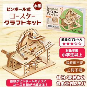 木製 立体パズル 遊べる【選べるキット】 木製...の詳細画像4
