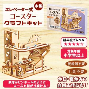 木製 立体パズル 遊べる【選べるキット】 木製...の詳細画像3